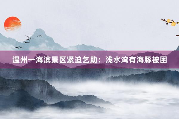 温州一海滨景区紧迫乞助：浅水湾有海豚被困