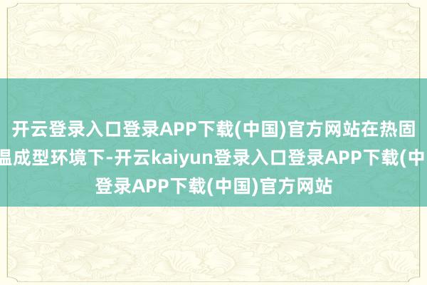 开云登录入口登录APP下载(中国)官方网站在热固性塑料的高温成型环境下-开云kaiyun登录入口登录APP下载(中国)官方网站